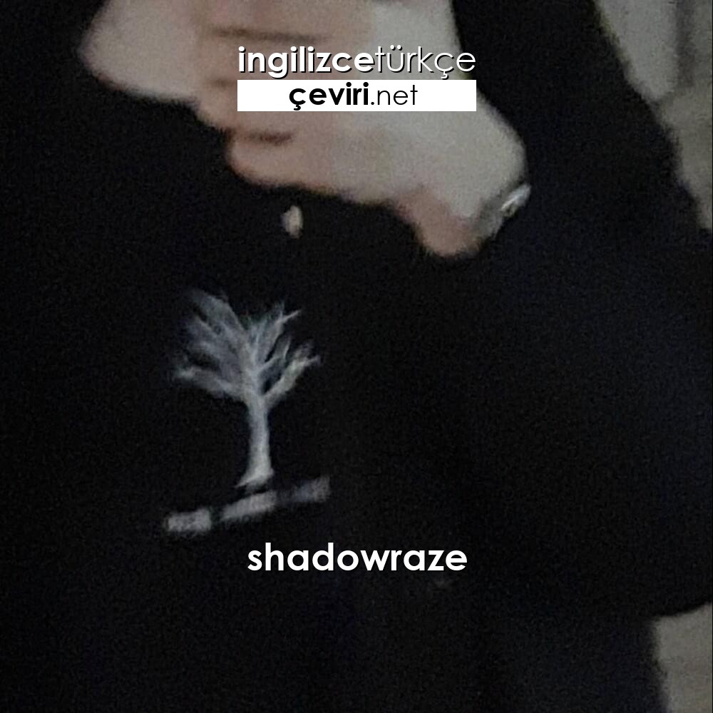 shadowraze – Freestyle Rusça Şarkı Sözleri ve Türkçe Çevirisi | Metin, Web  Sayfa, Dosya ve Fotoğraf Çeviri